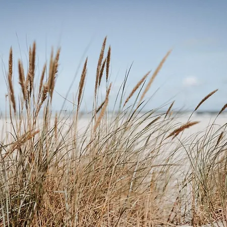 Appartement Vier Haeuser