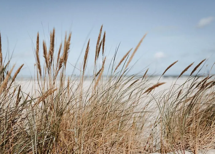 Lejlighed Vier Haeuser